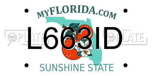 L663ID Florida License Plate