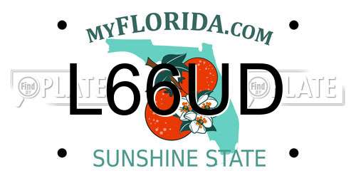L66UD Florida License Plate