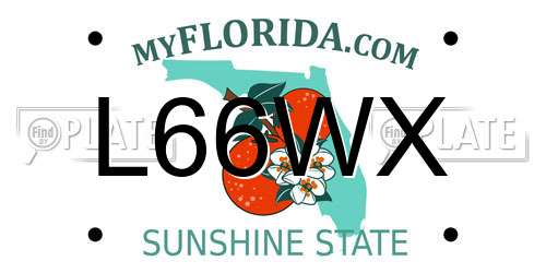 L66WX Florida License Plate