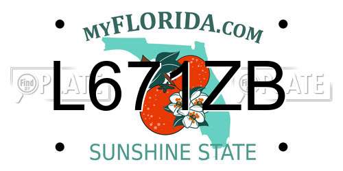 L671ZB Florida License Plate