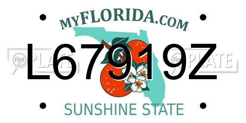 L67919Z Florida License Plate