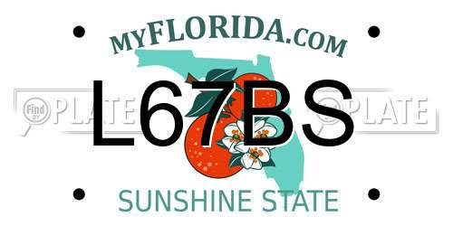L67BS Florida License Plate