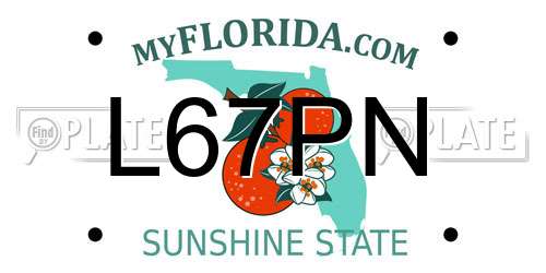 L67PN Florida License Plate