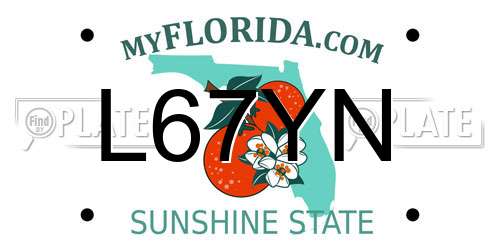 L67YN Florida License Plate