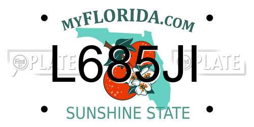 L685JI Florida License Plate