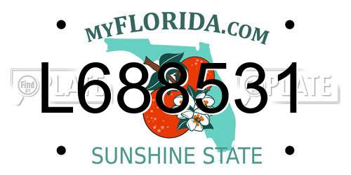 L688531 Florida License Plate