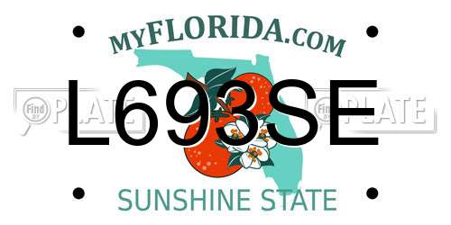 L693SE Florida License Plate