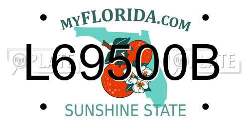 L69500B Florida License Plate