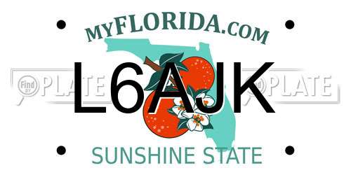 L6AJK Florida License Plate
