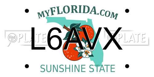 L6AVX Florida License Plate