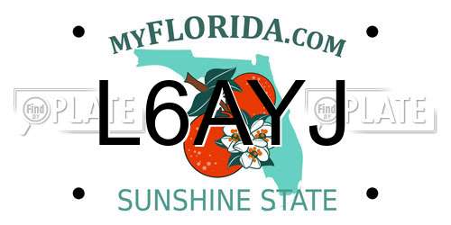 L6AYJ Florida License Plate