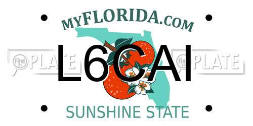 L6CAI Florida License Plate