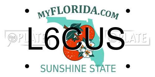L6CUS Florida License Plate