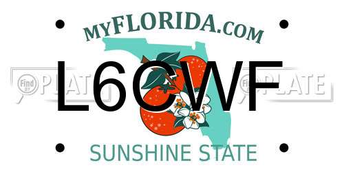 L6CWF Florida License Plate