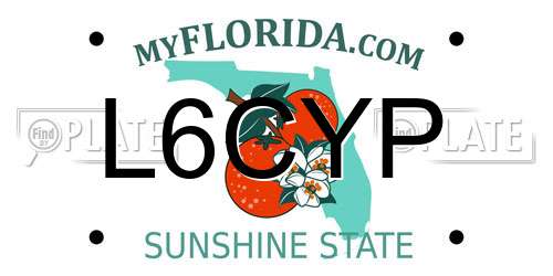 L6CYP Florida License Plate