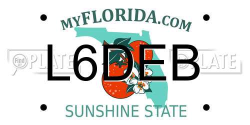 L6DEB Florida License Plate