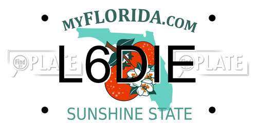 L6DIE Florida License Plate