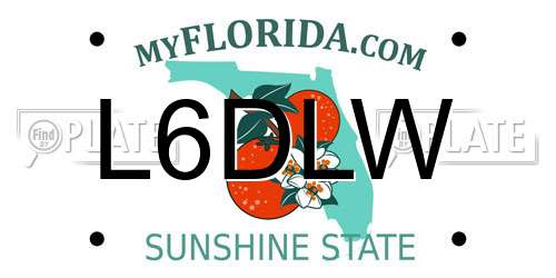 L6DLW Florida License Plate
