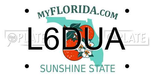 L6DUA Florida License Plate