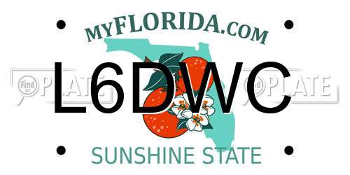 L6DWC Florida License Plate