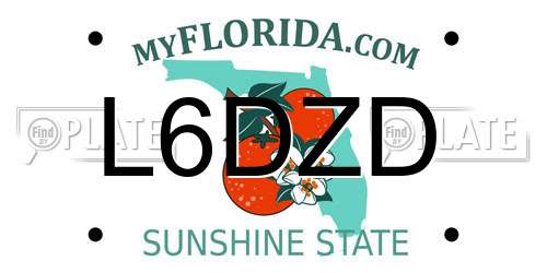 L6DZD Florida License Plate