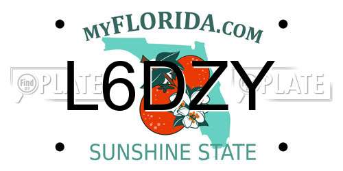 L6DZY Florida License Plate