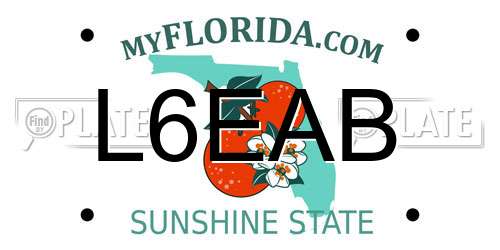 L6EAB Florida License Plate