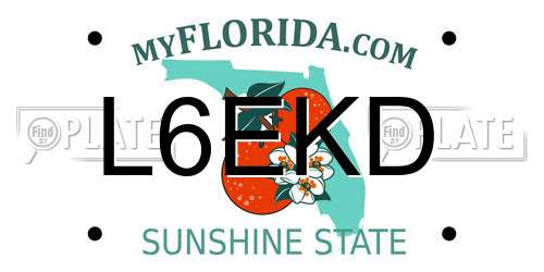 L6EKD Florida License Plate