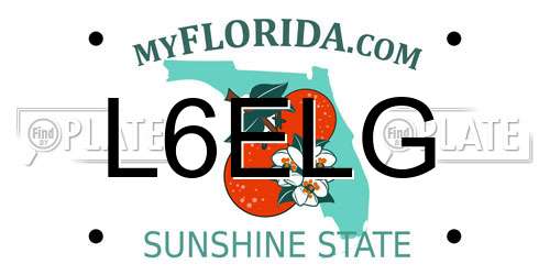 L6ELG Florida License Plate