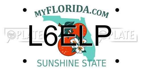 L6ELP Florida License Plate