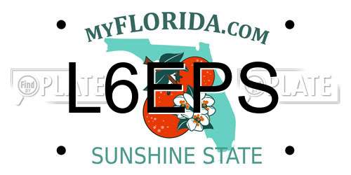 L6EPS Florida License Plate
