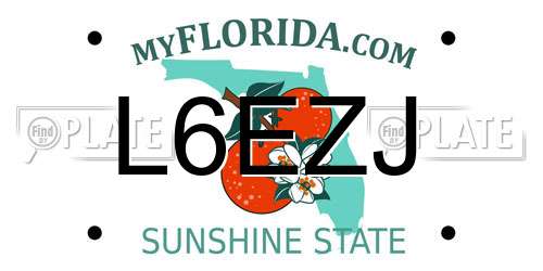L6EZJ Florida License Plate