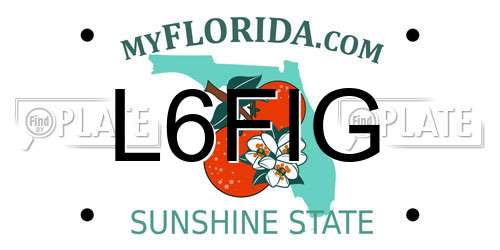 L6FIG Florida License Plate