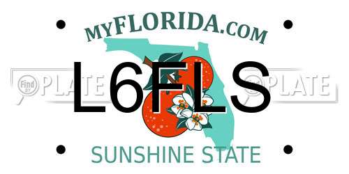 L6FLS Florida License Plate
