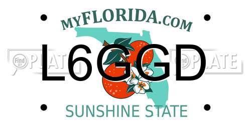 L6GGD Florida License Plate
