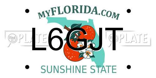 L6GJT Florida License Plate