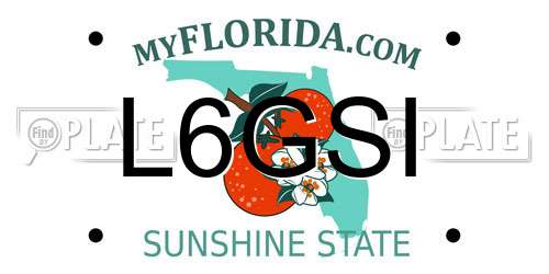 L6GSI Florida License Plate