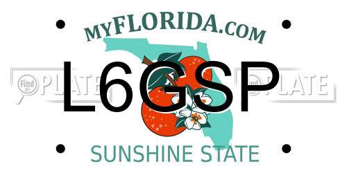 L6GSP Florida License Plate