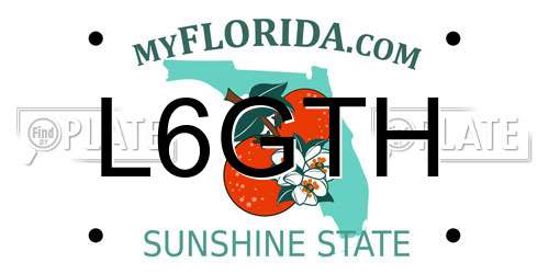 L6GTH Florida License Plate