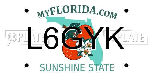 L6GYK Florida License Plate