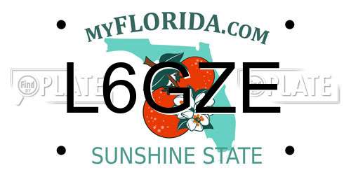 L6GZE Florida License Plate