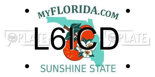 L6ICD Florida License Plate