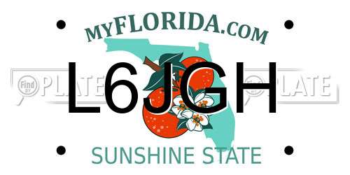 L6JGH Florida License Plate