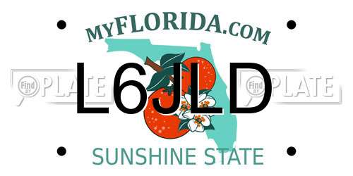 L6JLD Florida License Plate
