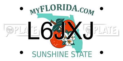 L6JXJ Florida License Plate