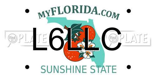 L6LLC Florida License Plate