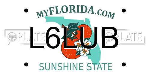 L6LUB Florida License Plate