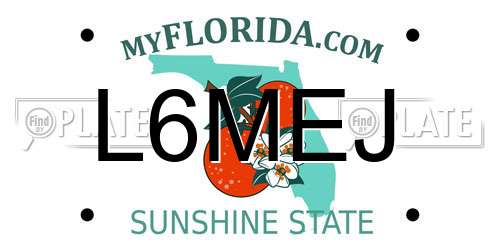 L6MEJ Florida License Plate