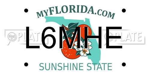 L6MHE Florida License Plate