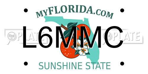 L6MMC Florida License Plate